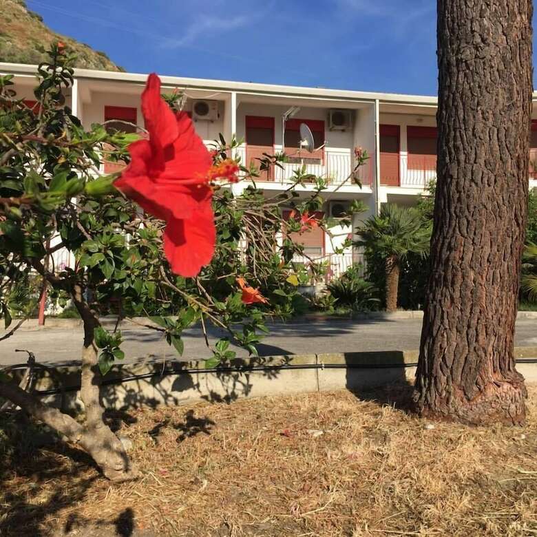 B&B Xenia