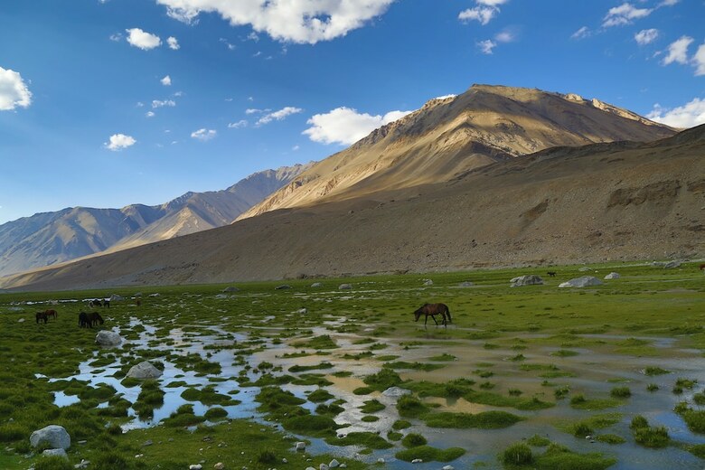 Hotel The Verda Driftwood Ladakh
