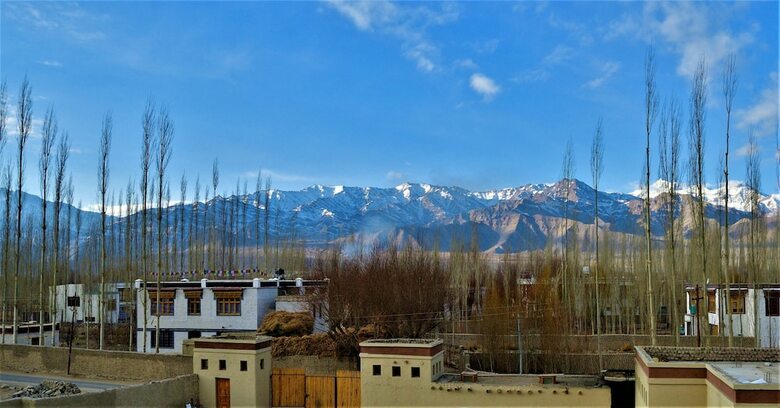 Hotel The Verda Driftwood Ladakh