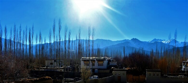 Hotel The Verda Driftwood Ladakh