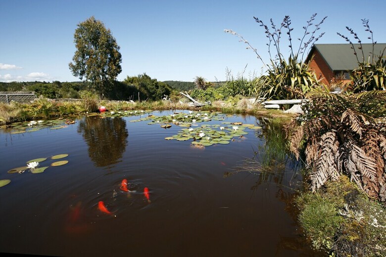 Bed & Breakfast Birds Ferry Lodge Luxury Accommodation