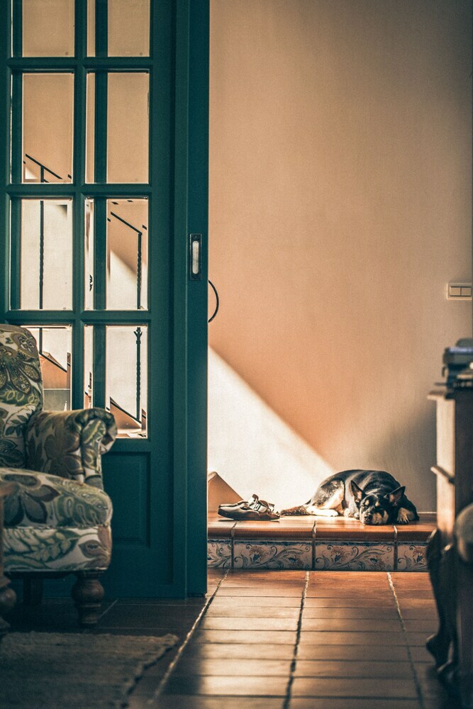 Bed & Breakfast Sunday Home