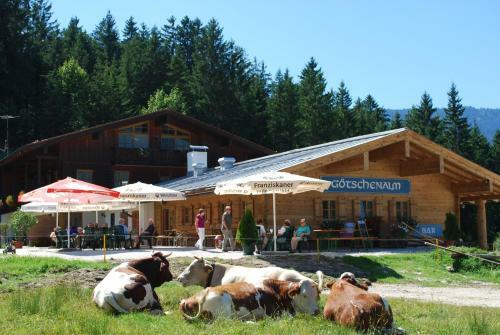 Hostal Alpengasthof G�tschenalm