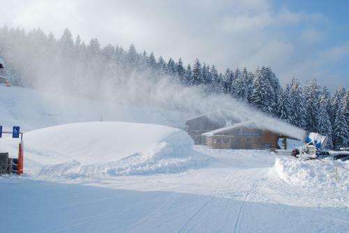 Hostal Alpengasthof G�tschenalm