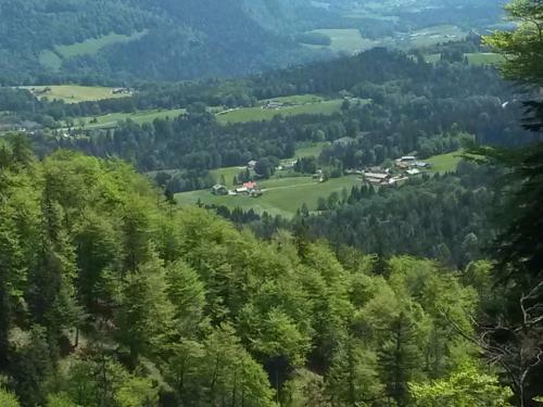 Hostal G�stehaus Marchler