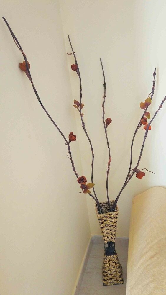 Apartamentos El Coraz�n de Lanzarote