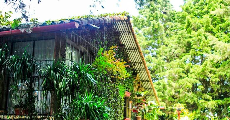 Posada Los Naranjos Town Houses