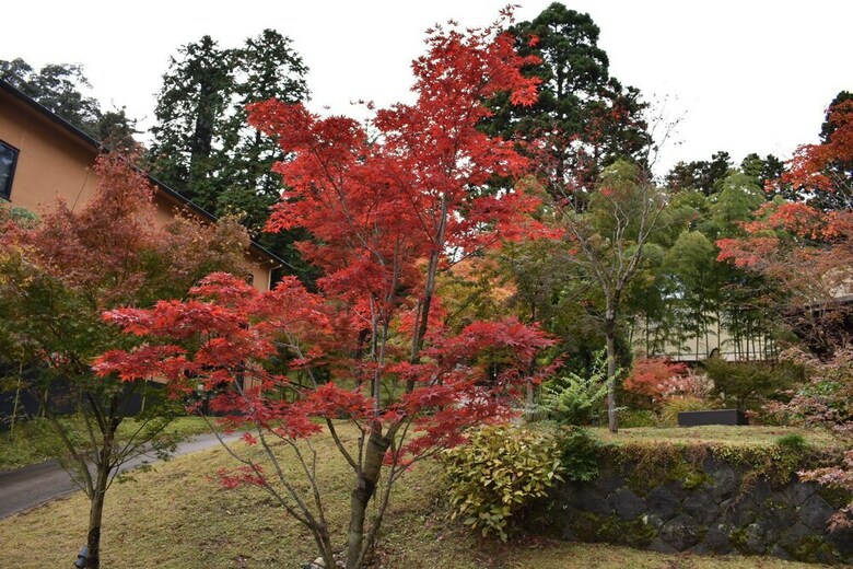 Hotel Hakone-suishoen