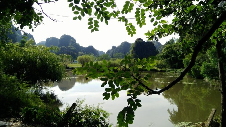 Hotel Tam Coc Ngoc Minh Homestay