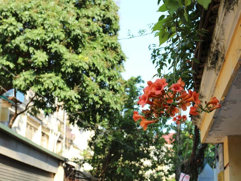 Aparthotel Palmo Service Apartment 1