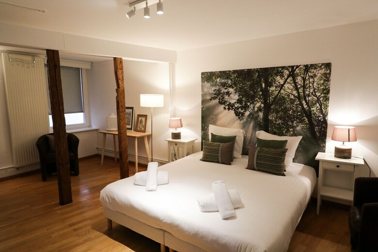 Apartamentos Colmarappart Haussmann