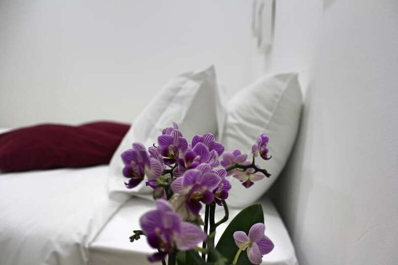 Hotel Nine Senses Guest House