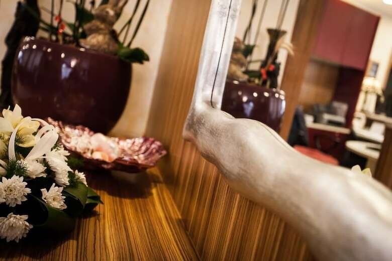 Hotel Aris