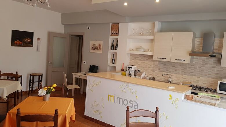 B&B Mimosa