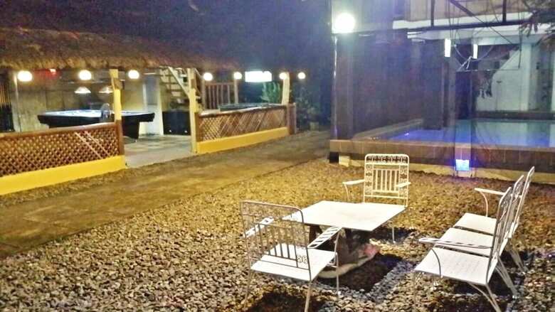 Hotel V House