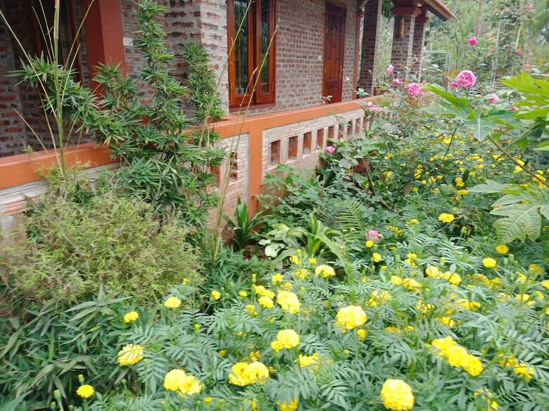 Hostal Ninh Binh Eco Garden