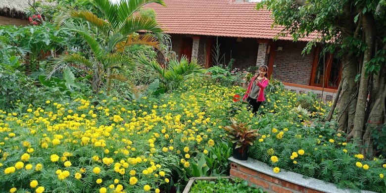 Hostal Ninh Binh Eco Garden