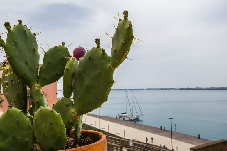 B&B Porta Marina Ortigia