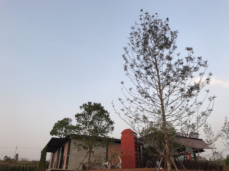 Hotel Kondee Cino Caf� And Glamping