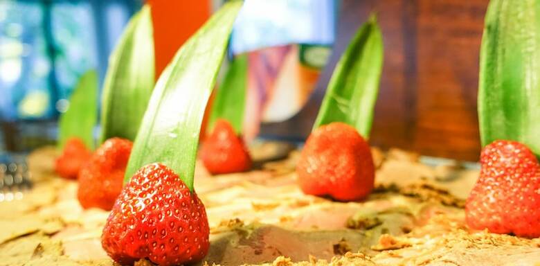 Hotel Elba - Young People Hotels