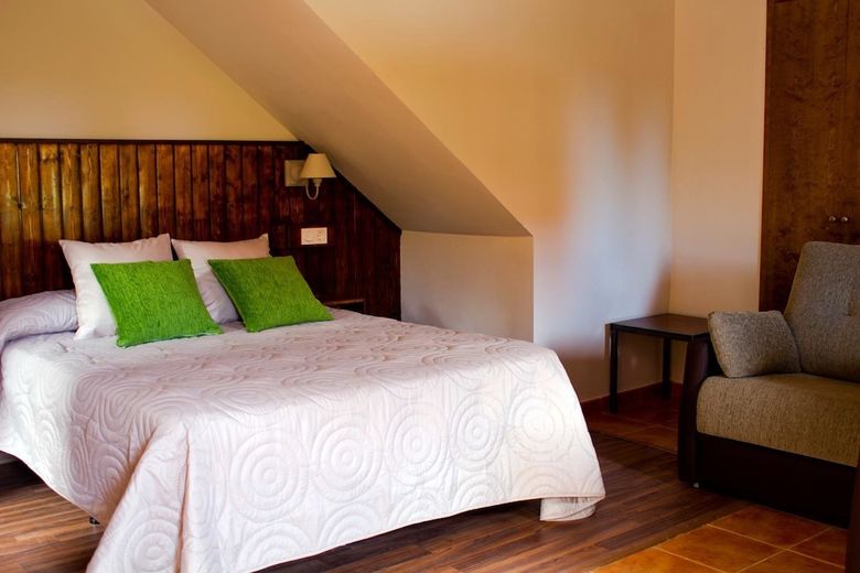 Hotel Y Apartamentos El Cam�n