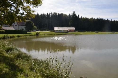 Hostal Pension Zum Gr�nen Wald