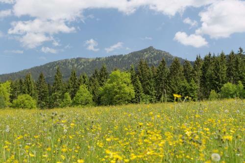 Osserhotel Garni