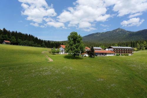 Osserhotel Garni