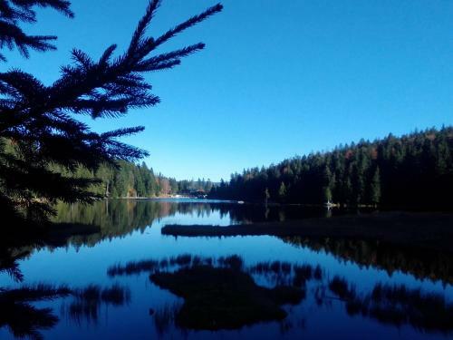 Hostal Pension Reindlh�h