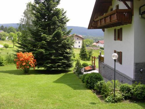 Hostal Hotel Arberblick