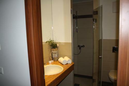 Berghotel Moosh�tte