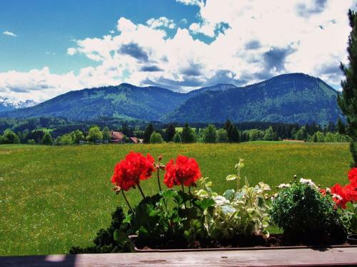 Hostal G�stehaus Schmid & Reitzner