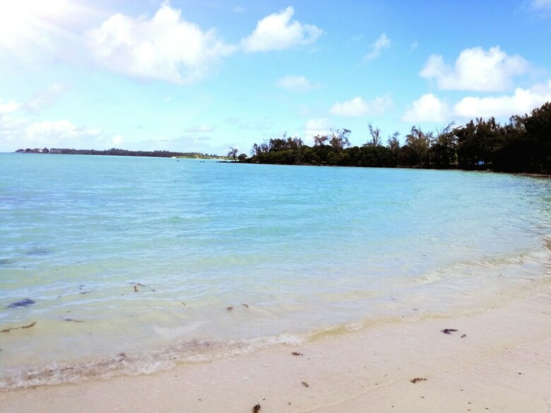 Bahama Breeze Beach Apartment B&B