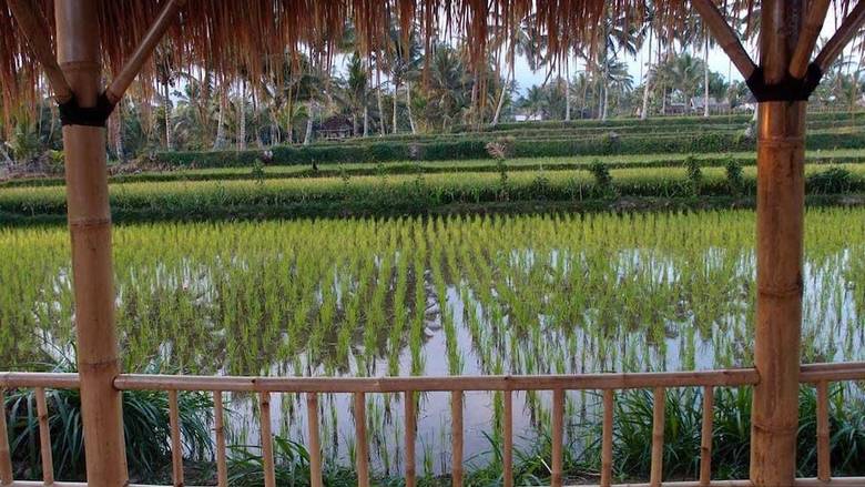 Hotel Les Rizieres Lombok