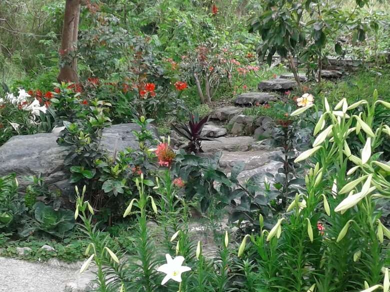 Taitung Linyuan B&B