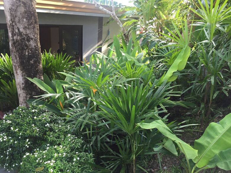 Patong Beach Luxury Hotel Apartment