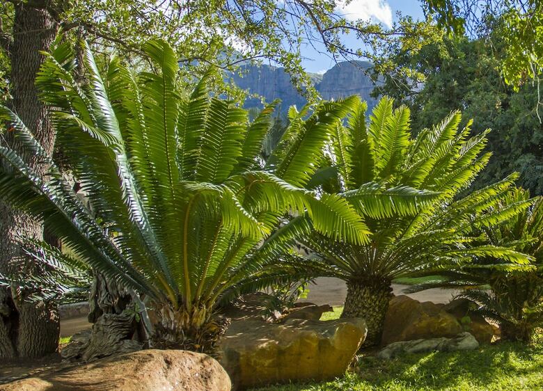 Posada Littlebush Private Lodge