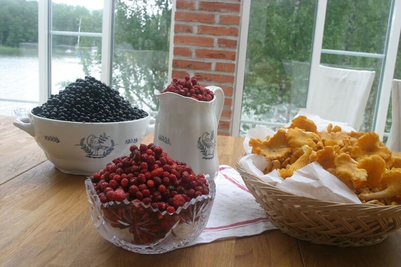 Apartamentos Villa Reuter