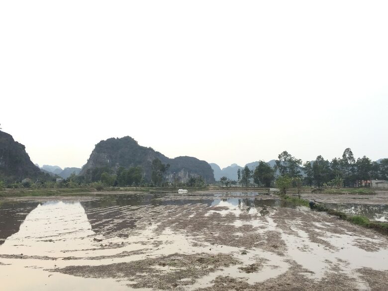 Hotel Tam Coc Happy Home