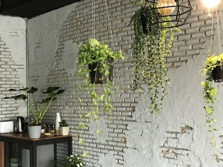 Hostal La Malila Hostel
