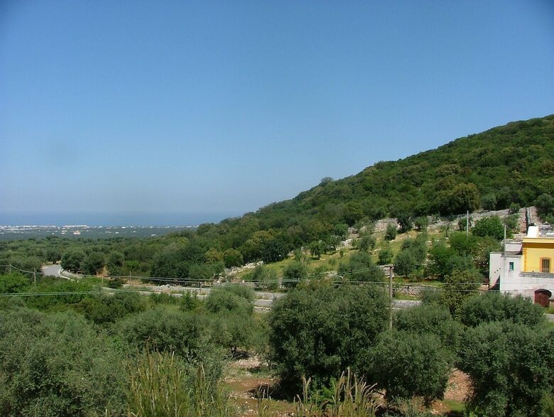 Orto Degli Ulivi