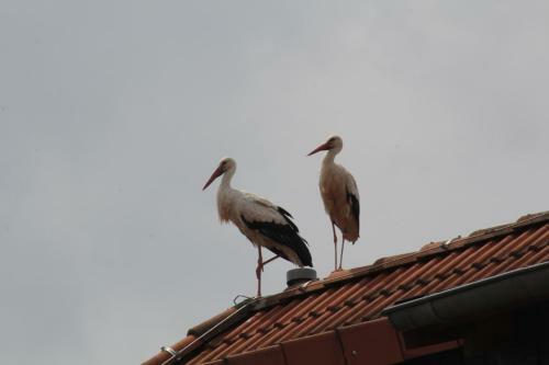 Hotel Wehrstedter Hof