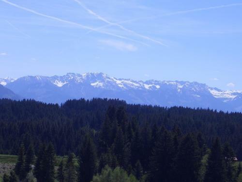 Apartamento G�stehaus Rimmel