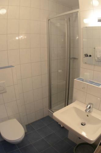 Hostal Goldener Schwan Hotel Garni