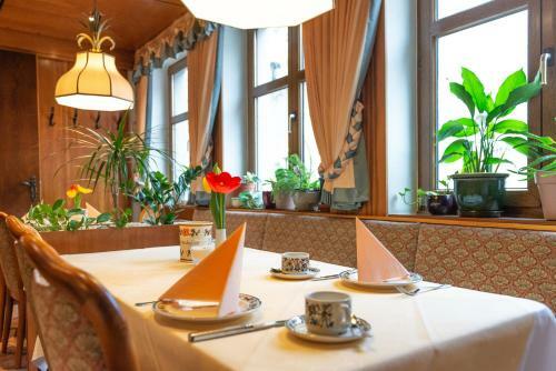 Hostal Goldener Schwan Hotel Garni