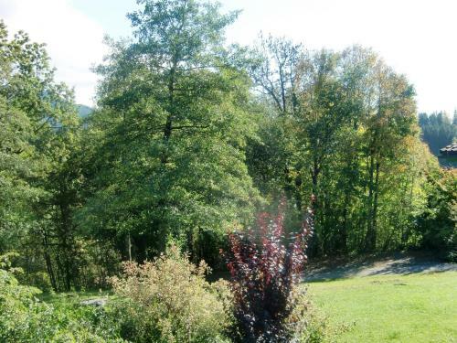 Apartamento Ferienwohnung Salettl