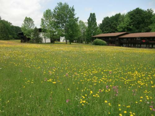 Apartamento Ferienwohnung Salettl