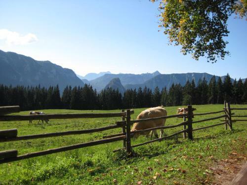 Apartamento Ferienwohnung Salettl