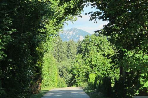 Apartamento Ferienwohnung Salettl