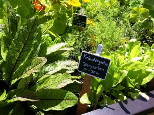 Hotel H�rterer Der Hammerwirt